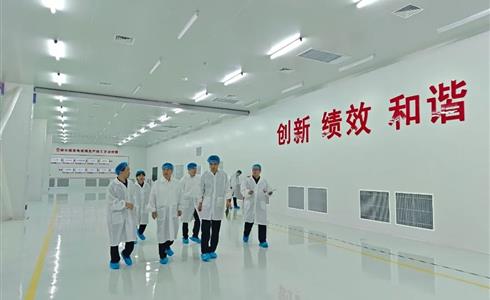 扎實開展“雷霆行動” 筑牢安全生產防線 | 凱盛玻璃控股開展節前安全生產大檢查